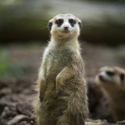 liwowo6's profile picture. 誰10BT，誰輕鬆；誰女權，誰享福；退網時就是去改變可以改變的0.01％啦