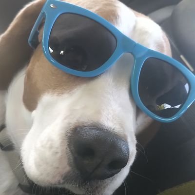 Ping75240191's profile picture. 