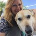 Paula Mitchell, Entrepreneur Etc. (@paulam531) Twitter profile photo Paula Mitchell, Entrepreneur Etc. (@paulam531) Twitter profile photo