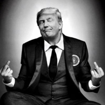 traybullets's profile picture. searching..,