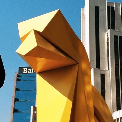 Acca_2020's profile picture. 