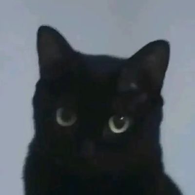 zhangti27741895's profile picture. 1