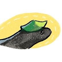 (크레스티드게코) 만두 2021.11.07 🦎 / (가고일게코) (김)마리 2022.01.16 🦎 / (블랙킹스네이크) 김밥 2022.01.16 🐍 / (호그노즈) 떡이 2022.02.20 🐍 / (블루텅스킨크) 순대 2022.10.31 🦎 걱정많은 초보 파충류 집사