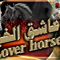 Lover horse (@ahmedalshrakawy) 's Twitter Profile