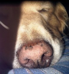 natalcad's profile picture. Perrofila, cinefila, runninggal!!