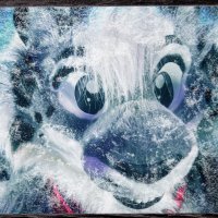 ❄️Selinar Snowcat(@SelinarSnowcat) 's Twitter Profile Photo