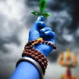 prince__ind's profile picture.