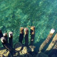 Јован (@jov4e85) 's Twitter Profile