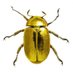 Scarabée D'Or (@scarabeeo) Twitter profile photo Scarabée D'Or (@scarabeeo) Twitter profile photo