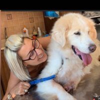 Yeşim Tarkal (@yesimtarkal) 's Twitter Profile