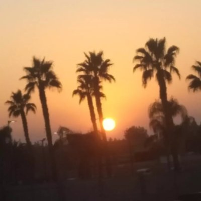 fr0g72388441's profile picture. 19