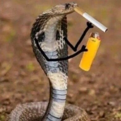 foradamatrix23's profile picture. O mundo jaz no maligno 👿