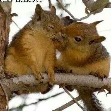 UsernameTMNT's profile picture. When you arise in the morning give thanks for the food and for the joy of living. If you see no reason for giving thanks, the fault lies only in yourself.