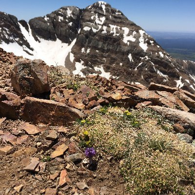 TBKG_25's profile picture. Time is now