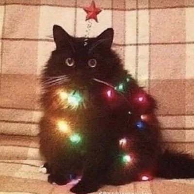 yayitsblakeyyyy's profile picture. Hi! I do Roblox stuff-