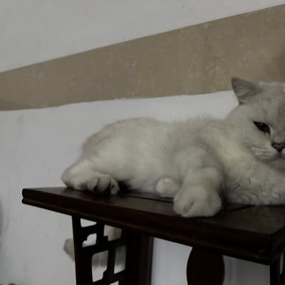 Andy77987's profile picture. 