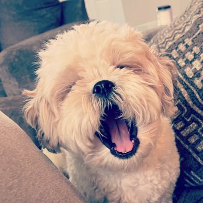 jordaan_leighh's profile picture. 