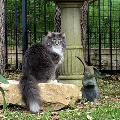 Cindy30711593's profile picture. Just like everyone else … only important to my family and friends. My opinion is just that, MY OPINION!