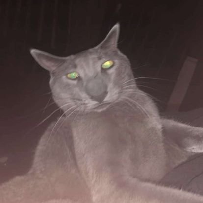 Mathieu50269563's profile picture. 