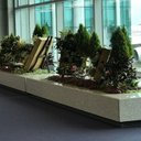 Chung Yee - @chung_yee11 - Twitter