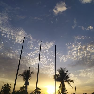 imranmunir1980's profile picture. 