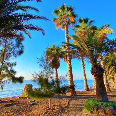 cat32865's profile picture. 