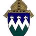 DioceseofReno (@dorevang) Twitter profile photo