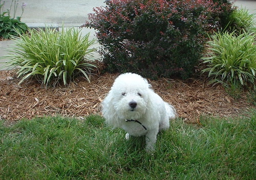 JennyDW24's profile picture. 