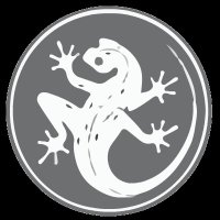 Gekkota (@the_gekkota) 's Twitter Profile