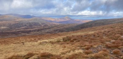 munros2011's profile picture. 