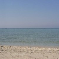 Eman Hammad (@emani25885) 's Twitter Profile