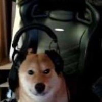 ₿o₿ (@chimoklm) 's Twitter Profile