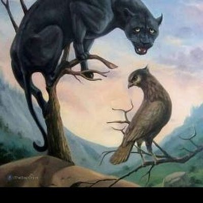 MalakSeb8's profile picture. 