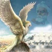 arya202022's profile picture. 