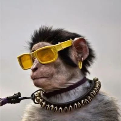 working class monkey