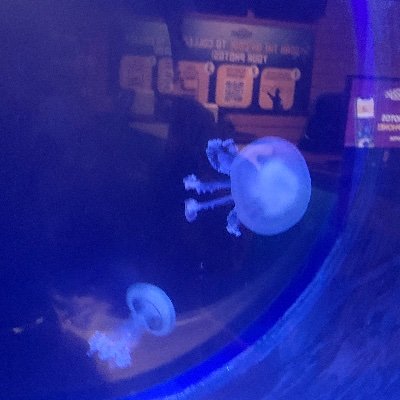 0_snapmap's profile picture. 🤤🤤