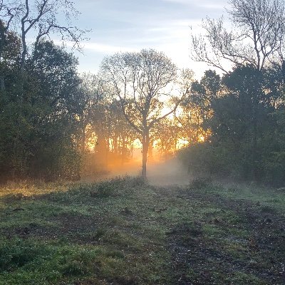 Timber harvesting contractors and woodland advisors. Achieving the most from your woodland with a flexible and conscientious approach. Established in 2004.