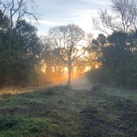 Aspect Forestry and Rural Management (@aspectforest) 's Twitter Profile Photo Aspect Forestry and Rural Management (@aspectforest) 's Twitter Profile Photo