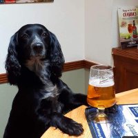 Stu Lambert (@slambert1982) 's Twitter Profile