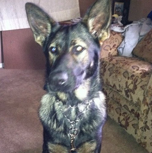 KrocodileKyle's profile picture. 