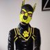 Loki (@pupperloki) Twitter profile photo Loki (@pupperloki) Twitter profile photo
