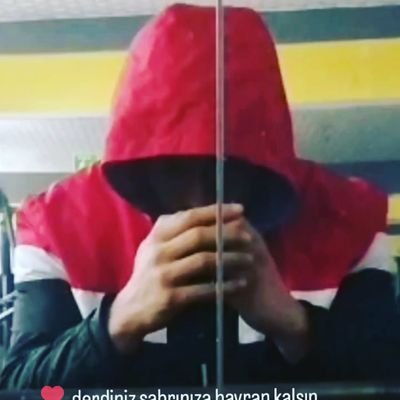 MSallahoglu's profile picture. 