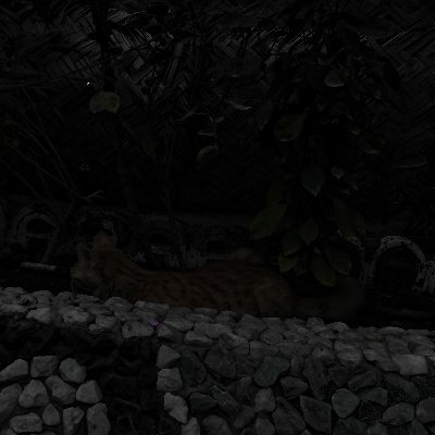 xiwn61's profile picture. 