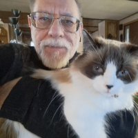Wiz Feinberg (@wizcrafts) 's Twitter Profile