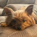 Phillip Blair - @DroneRiver - Twitter