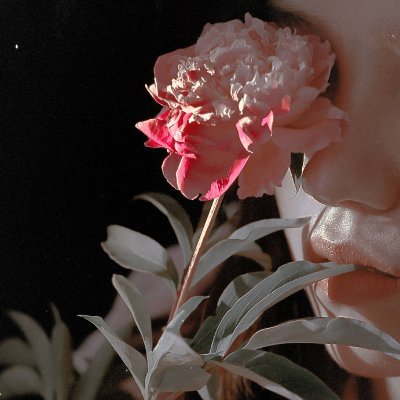 ApanaZonia's profile picture. Zonia Apana is here