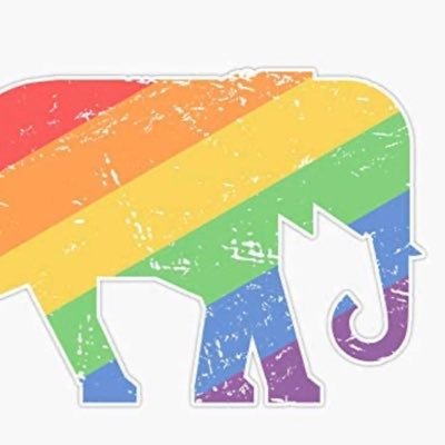 iSaidWhatIsaix's profile picture. Just a gay republican 🇺🇸