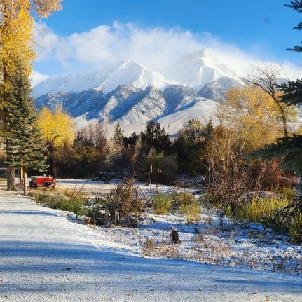 xnathtsl's profile picture. No.