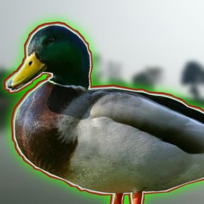 PatoNaNet_'s profile picture. Quack 
(Não canon)