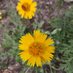 Annette Spanhel๐บ๐ฆ (@annettespanhel) Twitter profile photo Annette Spanhel๐บ๐ฆ (@annettespanhel) Twitter profile photo